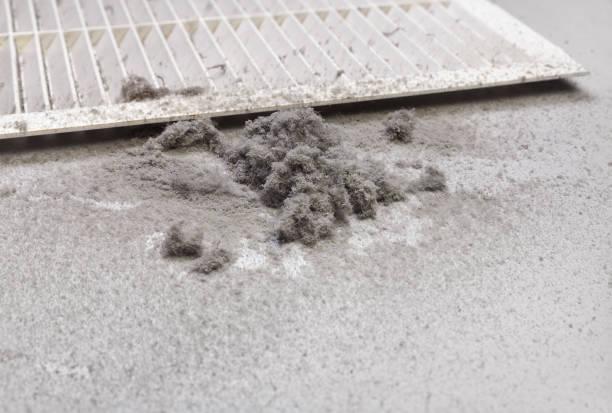 Best HVAC System Cleaning  in Coronado, CA