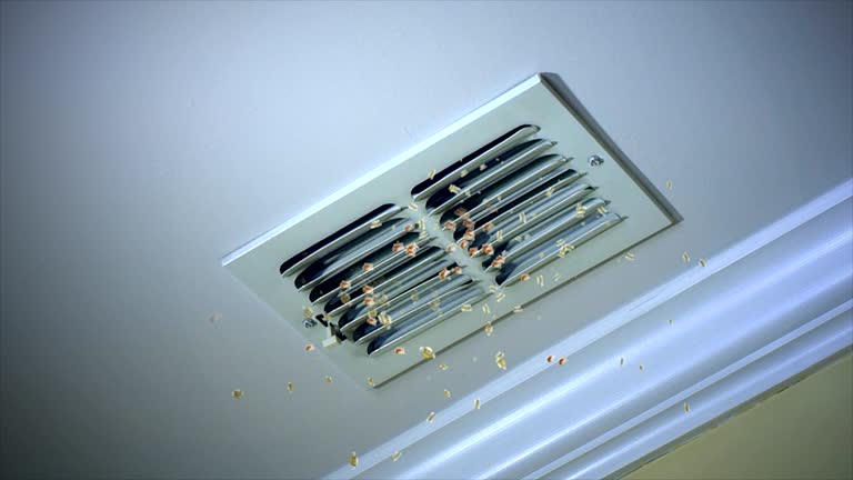 Best Emergency Air Duct Cleaning  in Coronado, CA